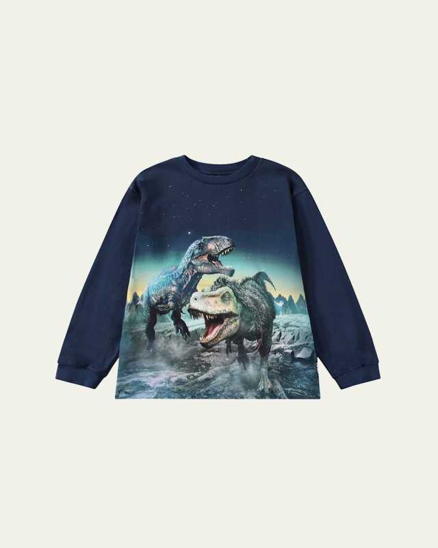 Boy's Rube Dinosaur Graphic T-Shirt, Size 4-7